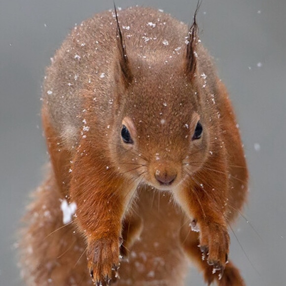 Meet your Posher: - Picture 2 of 2